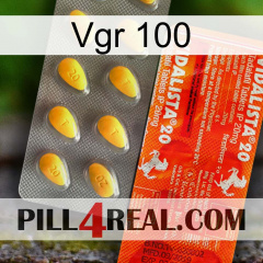 Vgr 100 new01